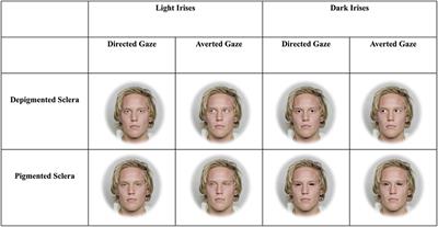 Sclera and Iris Color Interact to Influence Gaze Perception